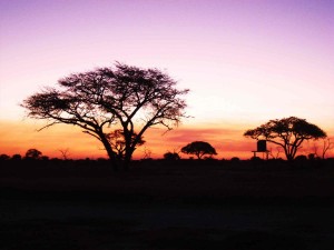 Africa-Sunset         