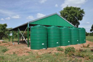 Rainwater Harvesting Project        